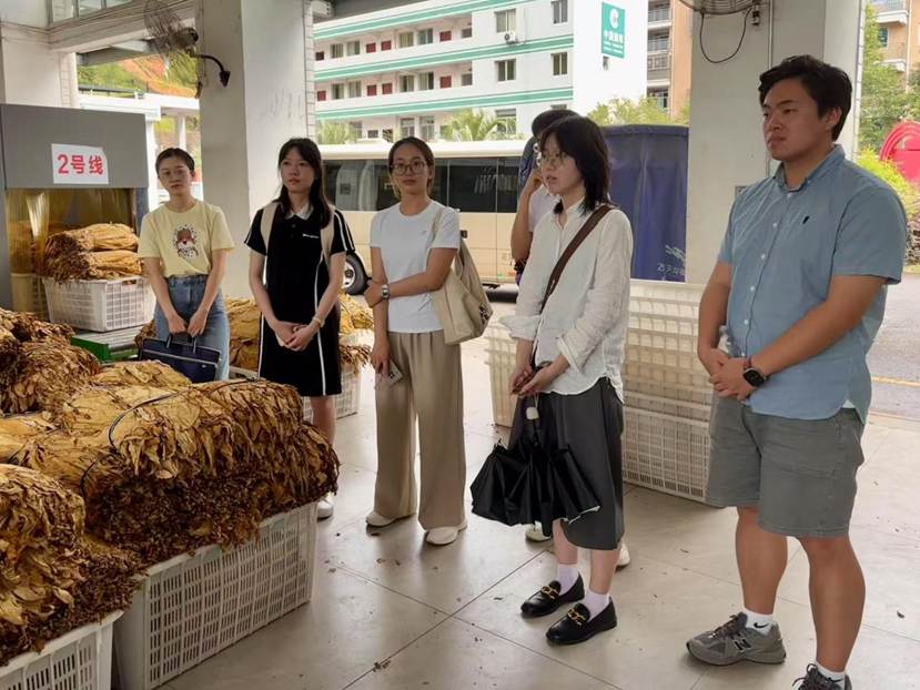 d9ec0c78b938fa4fcc9ff53c24990750